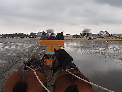 Blick vom Wattwagen auf den Strand Cuxhaven