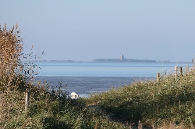 Blick über den Deich auf das Wattenmeer und die Insel Neuwerk