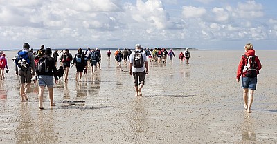 Menschen machen eine Wattwanderung im Wattenmeer von Cuxhaven
