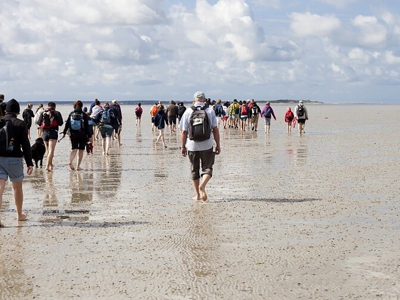 Menschen machen eine Wattwanderung im Wattenmeer von Cuxhaven