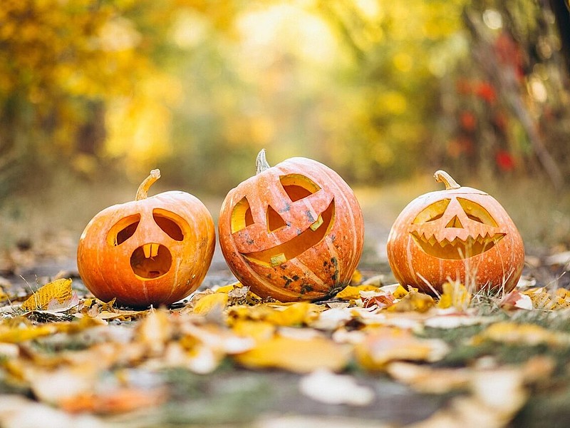 Das Bild zeigt geschnitzte Kürbisse zu Halloween auf einem Waldweg, der bedeckt mit bunten Blättern ist.
