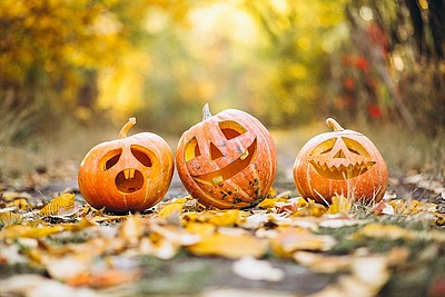 Das Bild zeigt geschnitzte Kürbisse zu Halloween auf einem Waldweg, der bedeckt mit bunten Blättern ist.