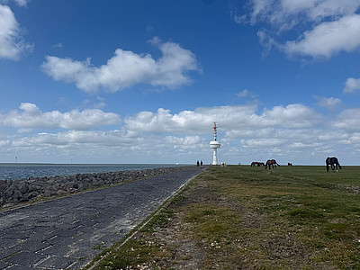 Das Bild zeigt einen idyllischen Weg zum Radarturm auf der Insel Neuwerk. Auf der linken Seite ist die Nordsee zu sehen und auf der rechten Seite eine Wiese mit Pferden. 