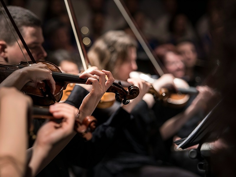 Das Bild zeigt ein Orchester der klassischen Musik. Die Orchestermitglieder spielen verschiedene Streichinstrumente, während einer Aufführung.
