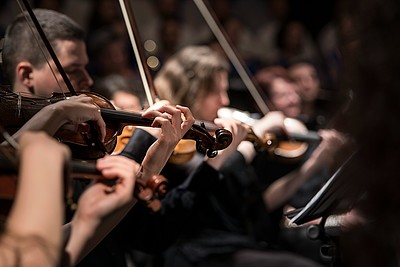 Das Bild zeigt ein Orchester der klassischen Musik. Die Orchestermitglieder spielen verschiedene Streichinstrumente, während einer Aufführung.