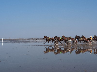 Pferderennen durch das Wattenmeer
