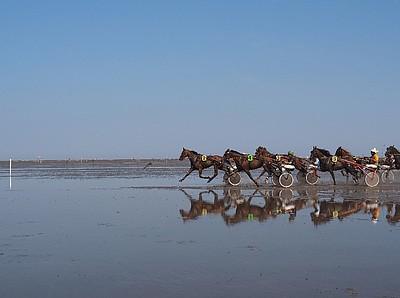 Pferderennen durch das Wattenmeer