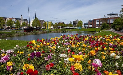 Blumen an der Hermine in Cuxhaven
