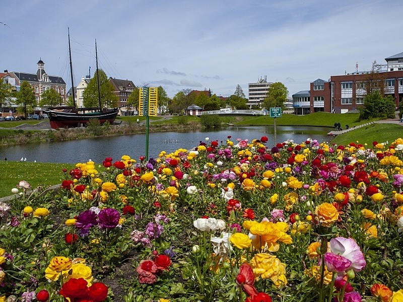 Blumen an der Hermine in Cuxhaven