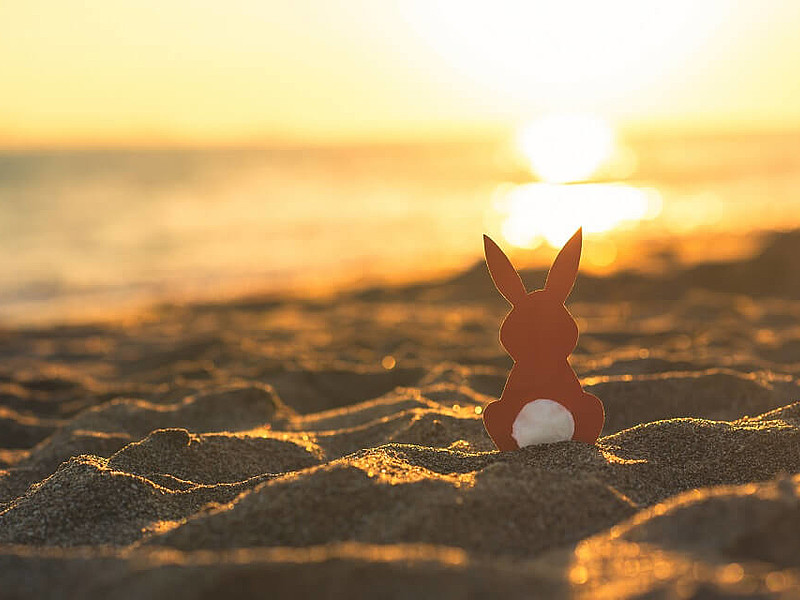 Osterhase der am Strand sitzt 