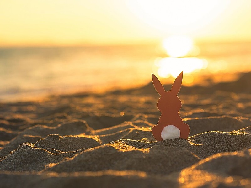 Osterhase sitz im Sand am Strand