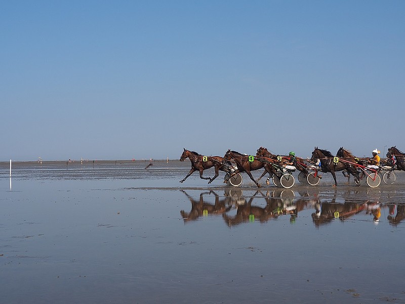 Pferderennen beim Duhner Wattrennen im Wattenmeer von Cuxhaven