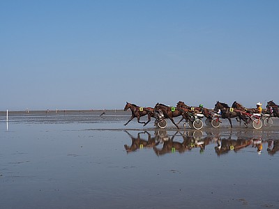 Pferderennen beim Duhner Wattrennen im Wattenmeer von Cuxhaven