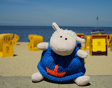 Ein Kuscheltier am Strand