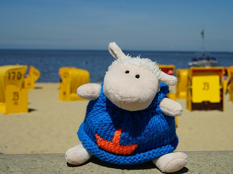 Ein Kuscheltier am Strand