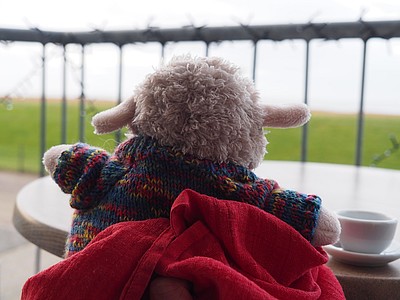 Deichschaf sitzt auf einem Balkon und schaut aufs Meer