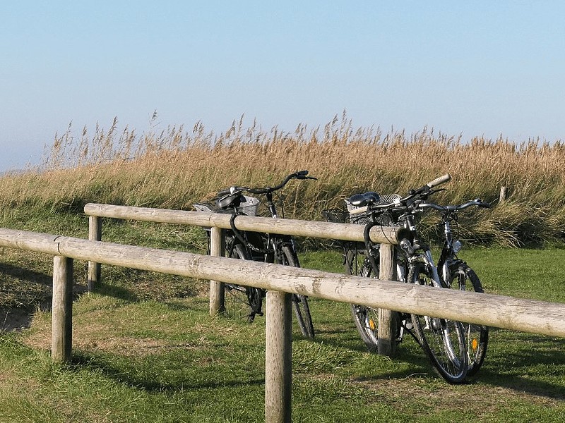 Fahrräder hinter dem Deich an der Nordsee