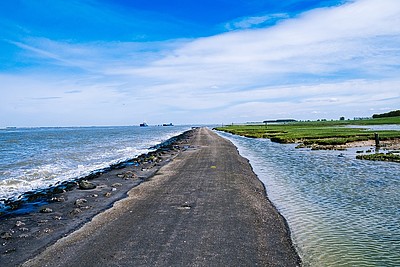 Nordseeküstenradweg entlang der Nordsee