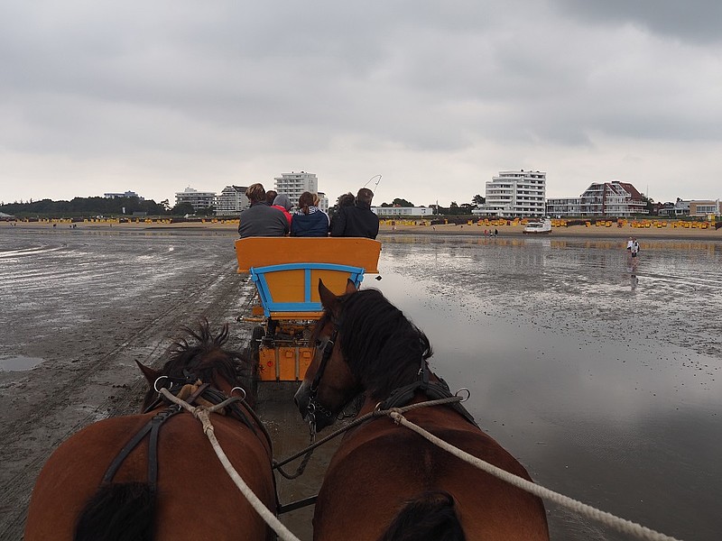 Blick vom Wattwagen auf den Strand Cuxhaven