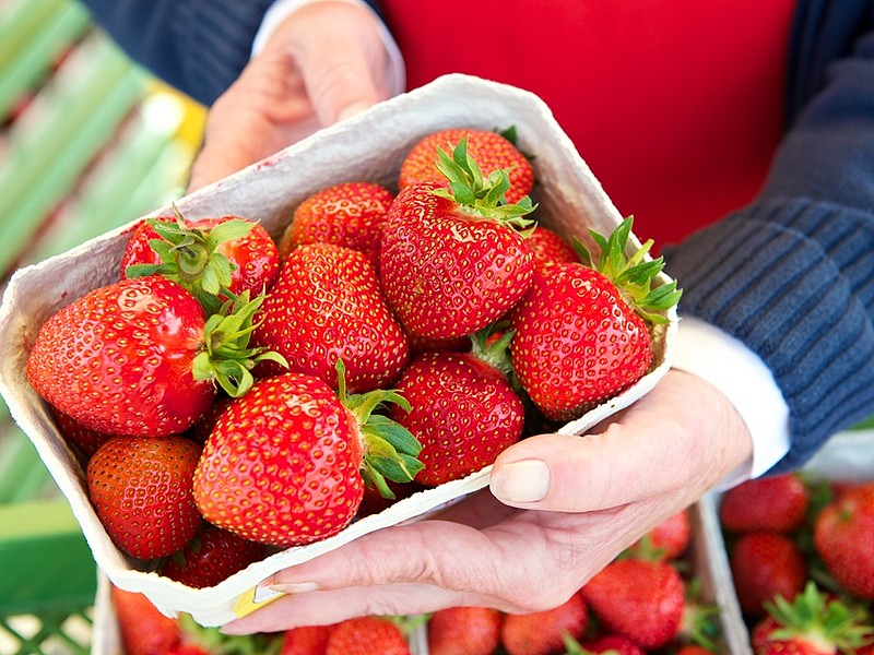 Frische Erdbeeren von einem Verkaufsstand