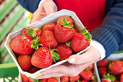 Frische Erdbeeren von einem Verkaufsstand