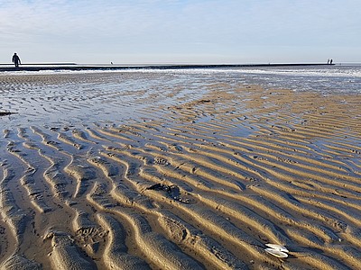 Das Bild zeigt das Watt der Nordsee bei Ebbe. Es stammt aus Cuxhaven.