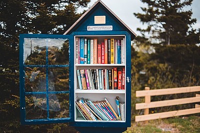 Das Bild zeigt einen Bücherschrank in der Natur, der mit vielen bunten Büchern gefüllt ist