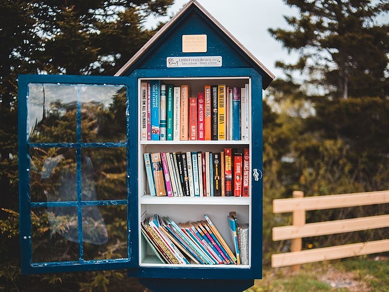 Das Bild zeigt einen Bücherschrank in der Natur, der mit vielen bunten Büchern gefüllt ist