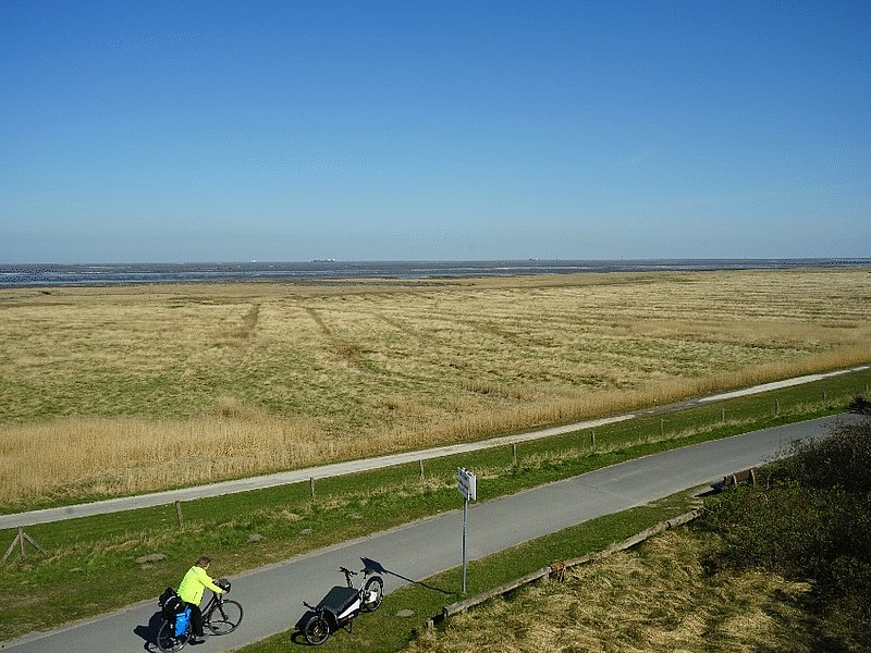 Fahrradwege am Deich