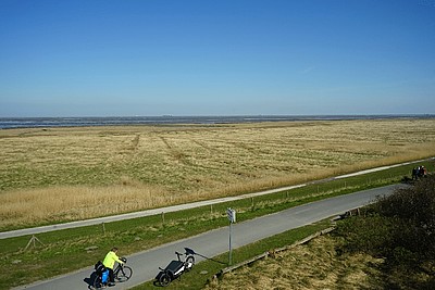 Fahrradwege am Deich