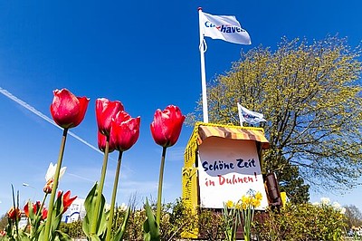 Ortseinfahrt in Duhnen mit Tulpen