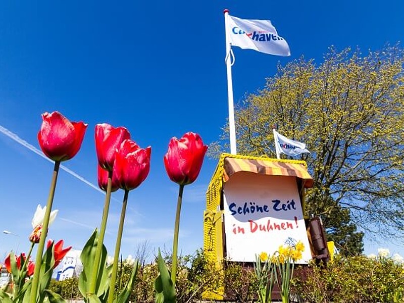 Ortseinfahrt in Duhnen mit Tulpen