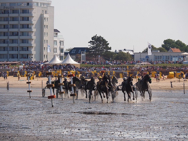 Kutsche im Wattenmeer vor Duhnen