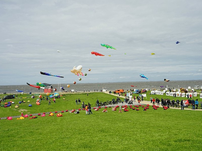 Drachen fliegen am Deich an der Nordsee