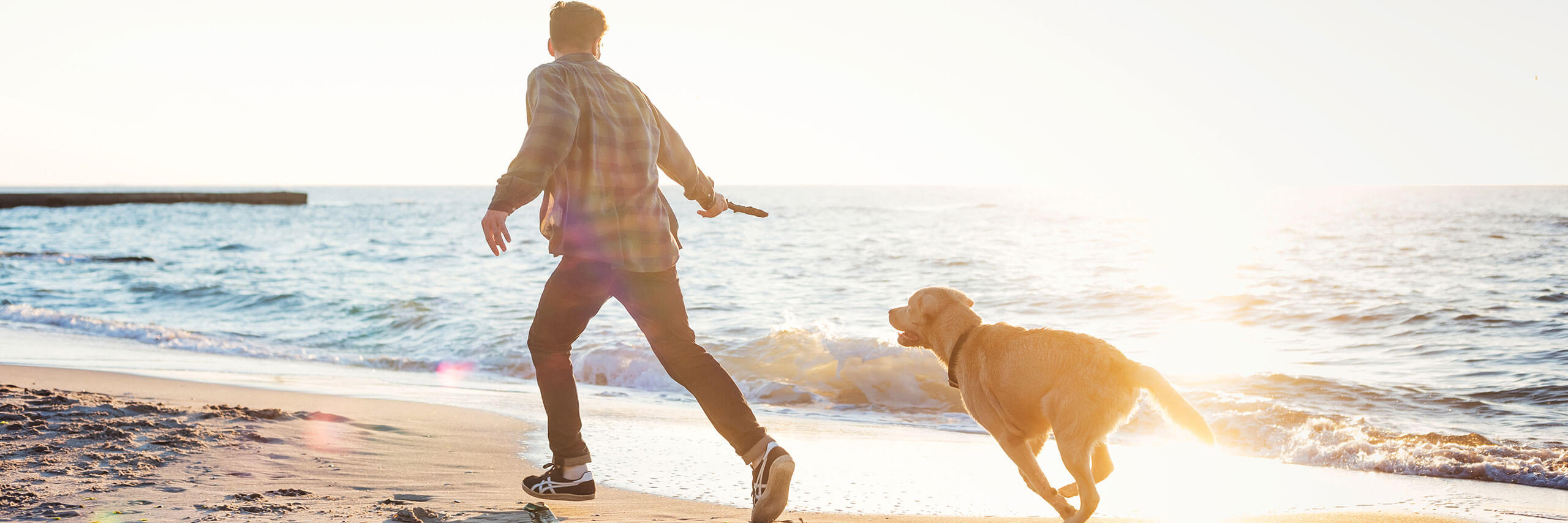 Mann spielt mit seinem Hund im Sand am Strand 