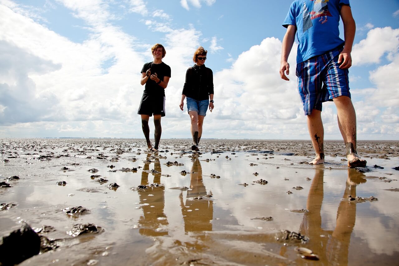 Drei PErsonen machen eine Wattwanderung durchs Wattenmeer an der Nordsee