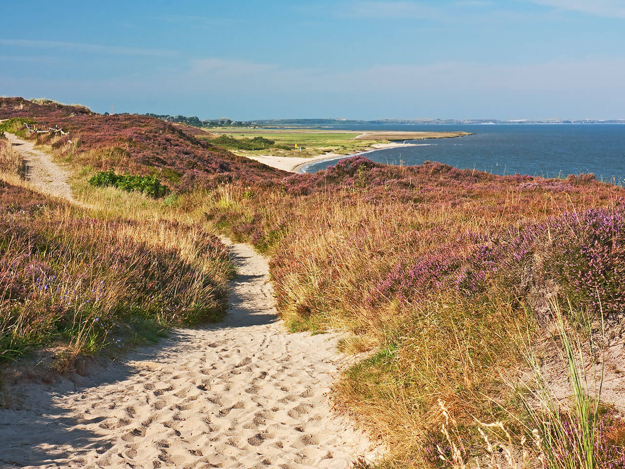 Sandweg durch eine Heidelandschaft mit Blick auf das Meer