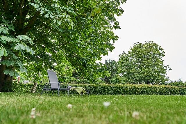 Eine Liege steht unter einem Baum im Gemeinschaftsgarten des Haus Aquaris