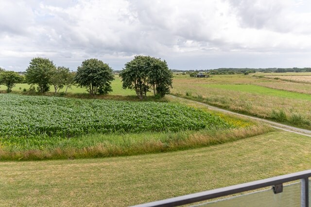 Aussicht ins Grüne auf Felder und Wiesen vom Haus Vogelsand in Cuxhaven