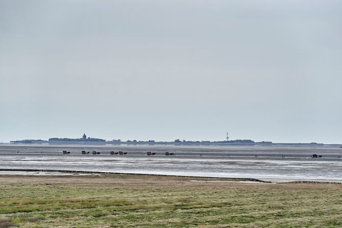 Ausblick vom Haus Pamir auf das Wattenmeer und die Insel Neuwerk