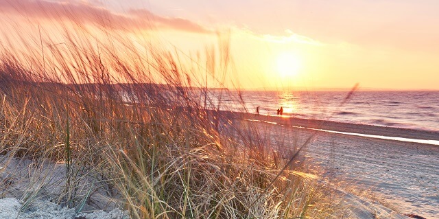 Blick durch Gräser auf den Strand und das Meer bei Sonnenuntergang
