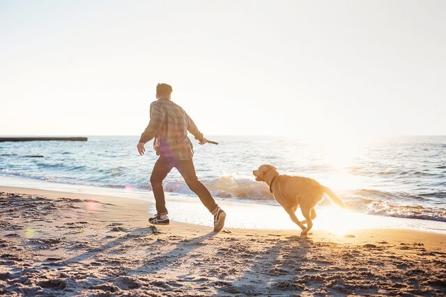 Mann läuft mit seinem Hund am Strand entlang bei einem Sonnenuntergang