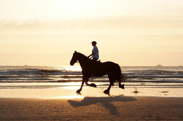 Reiter reitet mit Pferd am Strand entlang bei Sonnenuntergang